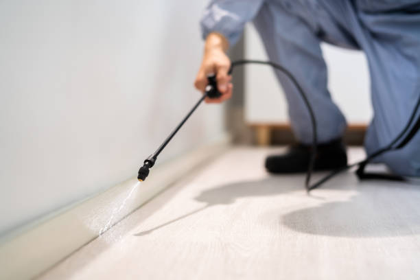 Licensed Pest Control service in Maple Heights, OH - Show Me Pest Control