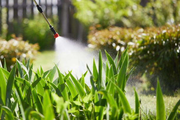 24/7 Emergency Wasp Removal experts in Maple Heights, OH
