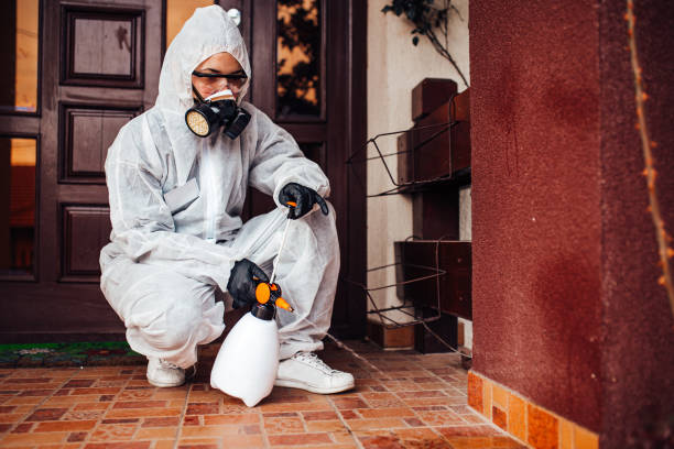 Reliable Wasp Removal contractor in Maple Heights, OH by Show Me Pest Control