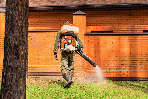 Top rated local Wasp Removal specialists in Maple Heights, OH